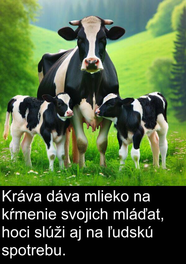 slúži: Kráva dáva mlieko na kŕmenie svojich mláďat, hoci slúži aj na ľudskú spotrebu.