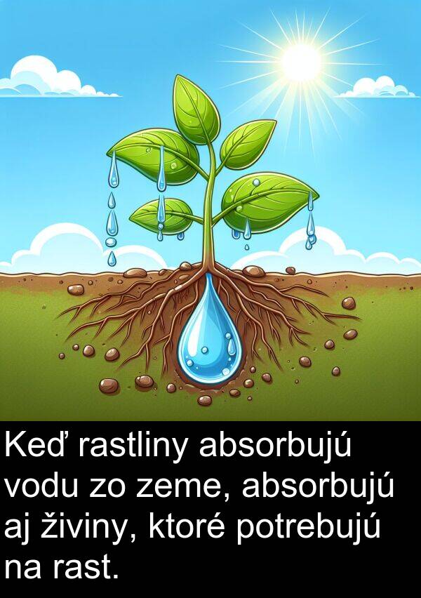 rast: Keď rastliny absorbujú vodu zo zeme, absorbujú aj živiny, ktoré potrebujú na rast.