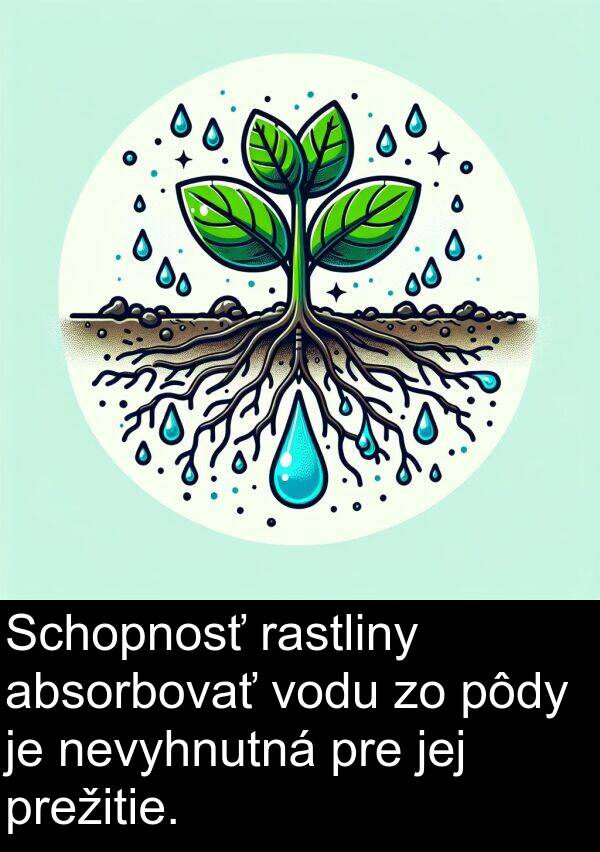 vodu: Schopnosť rastliny absorbovať vodu zo pôdy je nevyhnutná pre jej prežitie.