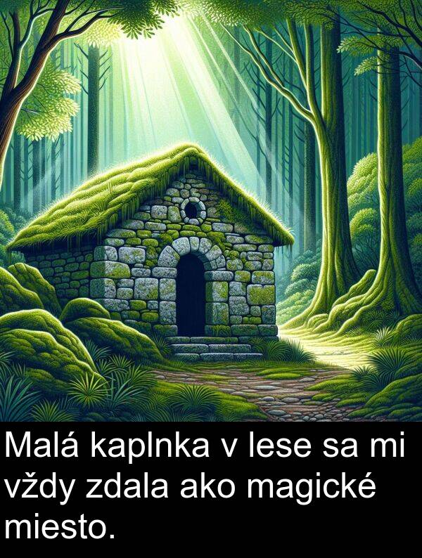 lese: Malá kaplnka v lese sa mi vždy zdala ako magické miesto.