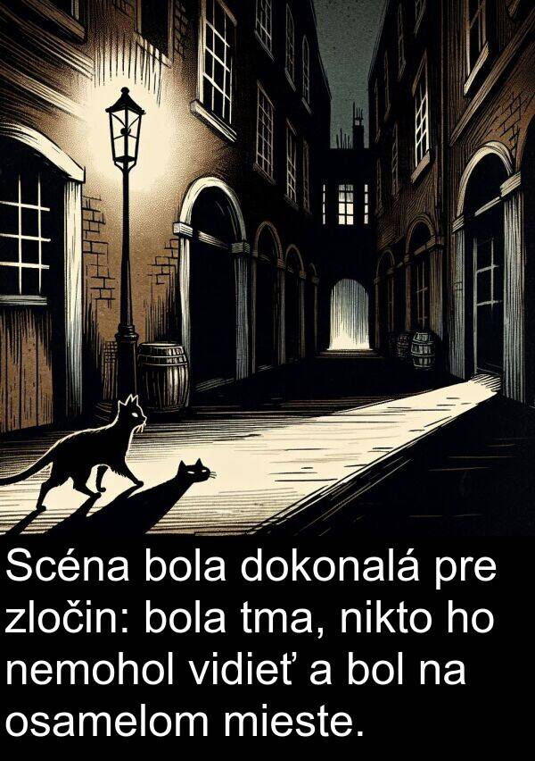 nikto: Scéna bola dokonalá pre zločin: bola tma, nikto ho nemohol vidieť a bol na osamelom mieste.