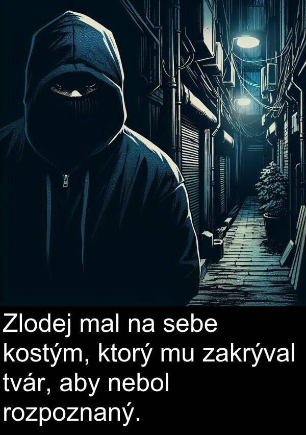 nebol: Zlodej mal na sebe kostým, ktorý mu zakrýval tvár, aby nebol rozpoznaný.
