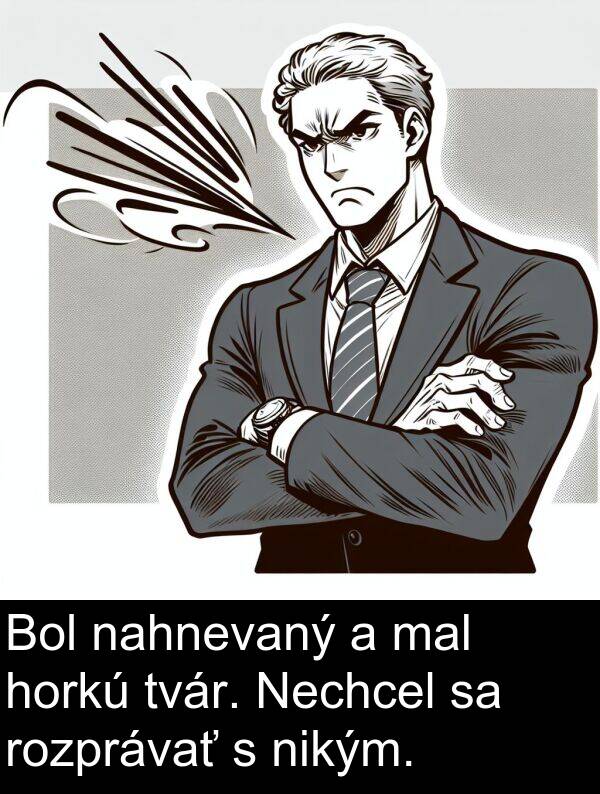 nahnevaný: Bol nahnevaný a mal horkú tvár. Nechcel sa rozprávať s nikým.