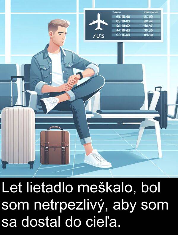 netrpezlivý: Let lietadlo meškalo, bol som netrpezlivý, aby som sa dostal do cieľa.