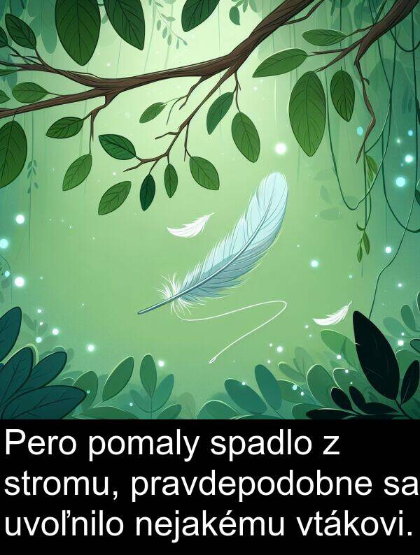 stromu: Pero pomaly spadlo z stromu, pravdepodobne sa uvoľnilo nejakému vtákovi.