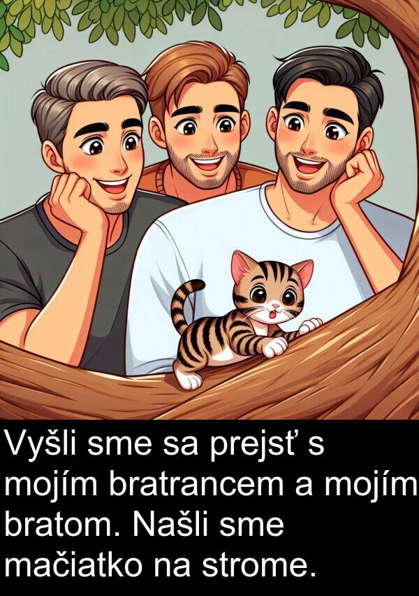 strome: Vyšli sme sa prejsť s mojím bratrancem a mojím bratom. Našli sme mačiatko na strome.
