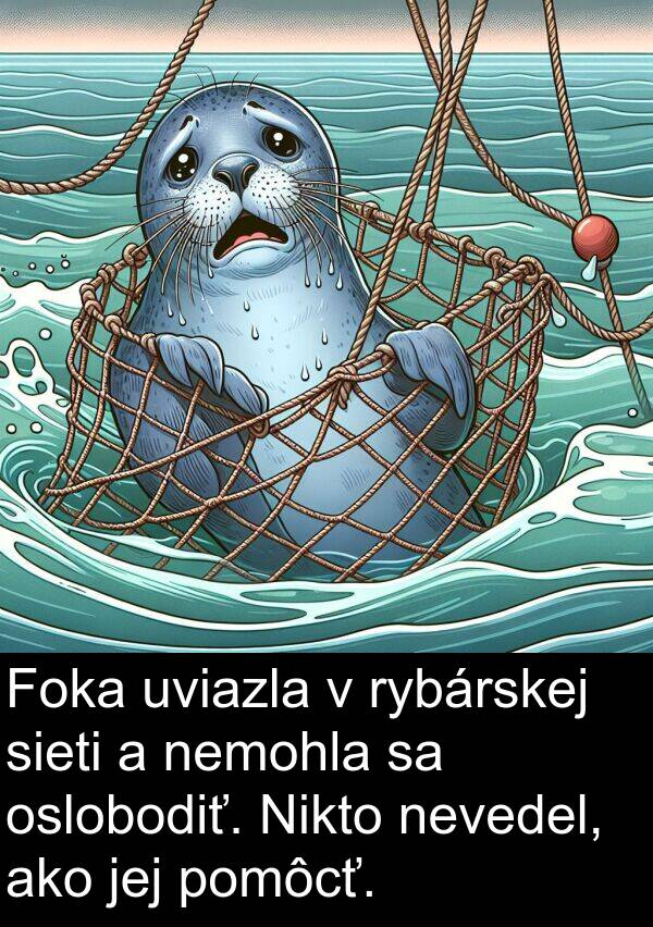 rybárskej: Foka uviazla v rybárskej sieti a nemohla sa oslobodiť. Nikto nevedel, ako jej pomôcť.