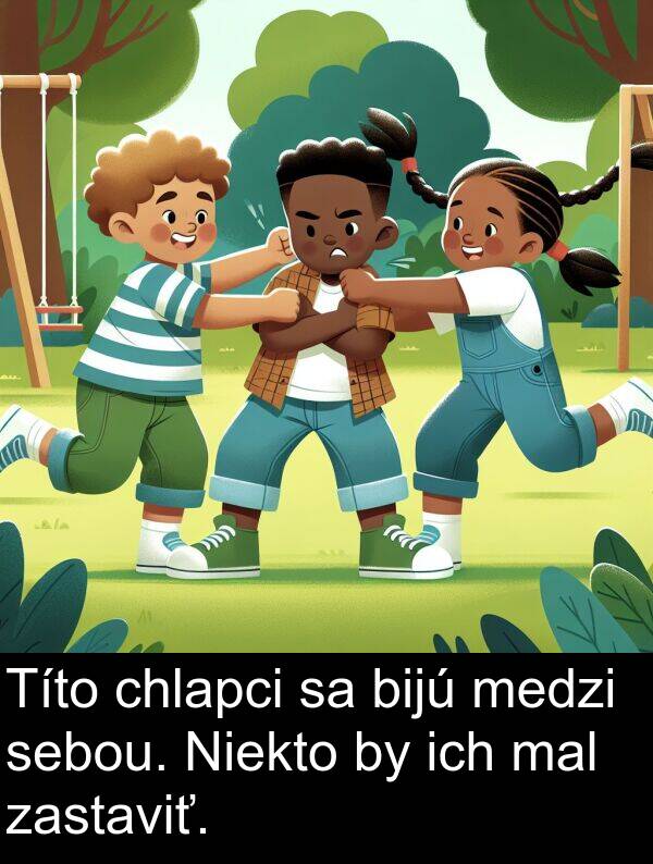 ich: Títo chlapci sa bijú medzi sebou. Niekto by ich mal zastaviť.