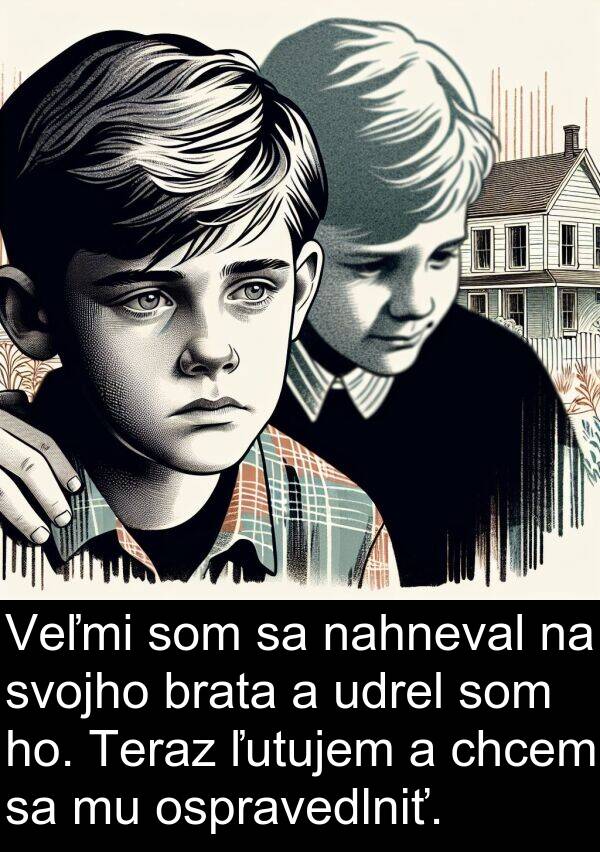 chcem: Veľmi som sa nahneval na svojho brata a udrel som ho. Teraz ľutujem a chcem sa mu ospravedlniť.