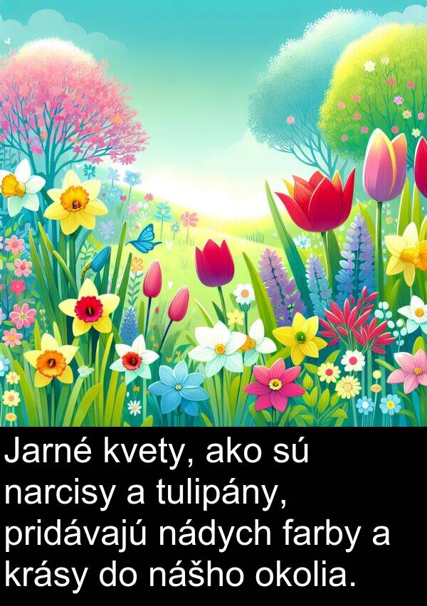 farby: Jarné kvety, ako sú narcisy a tulipány, pridávajú nádych farby a krásy do nášho okolia.