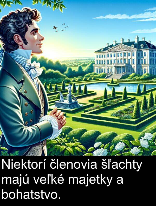 šľachty: Niektorí členovia šľachty majú veľké majetky a bohatstvo.