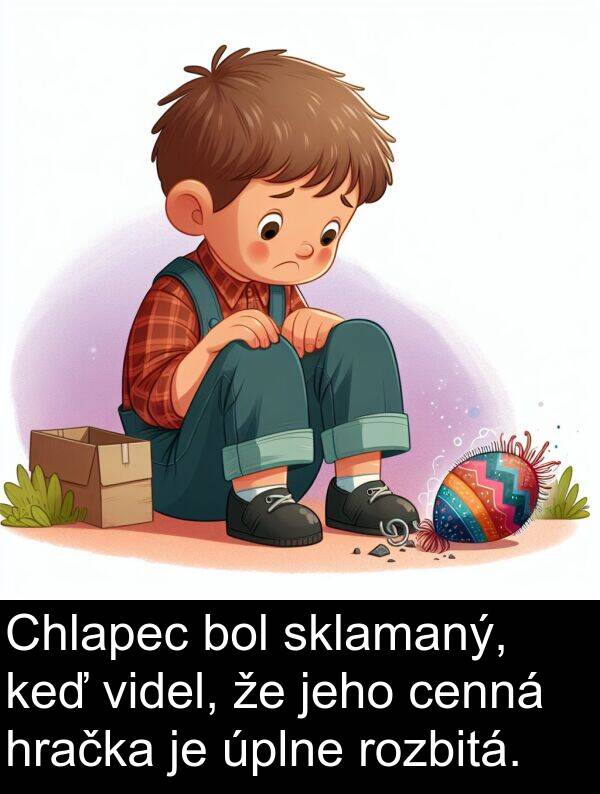 sklamaný: Chlapec bol sklamaný, keď videl, že jeho cenná hračka je úplne rozbitá.