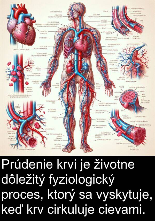 vyskytuje: Prúdenie krvi je životne dôležitý fyziologický proces, ktorý sa vyskytuje, keď krv cirkuluje cievami.