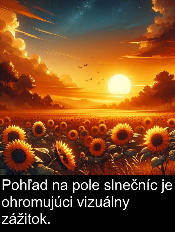 ohromujúci: Pohľad na pole slnečníc je ohromujúci vizuálny zážitok.