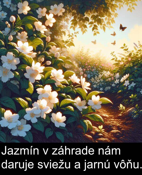 jarnú: Jazmín v záhrade nám daruje sviežu a jarnú vôňu.