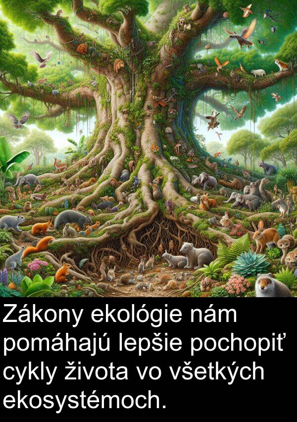 nám: Zákony ekológie nám pomáhajú lepšie pochopiť cykly života vo všetkých ekosystémoch.