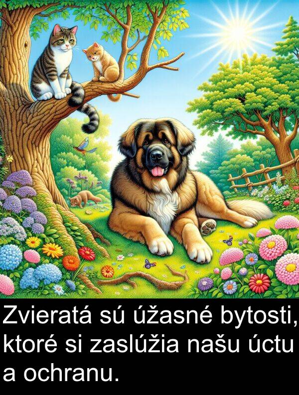 našu: Zvieratá sú úžasné bytosti, ktoré si zaslúžia našu úctu a ochranu.
