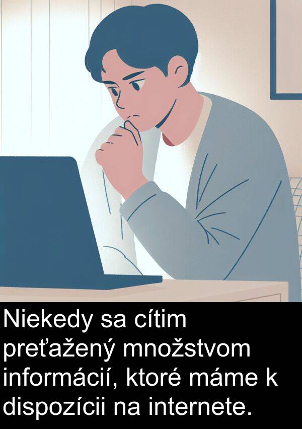 cítim: Niekedy sa cítim preťažený množstvom informácií, ktoré máme k dispozícii na internete.