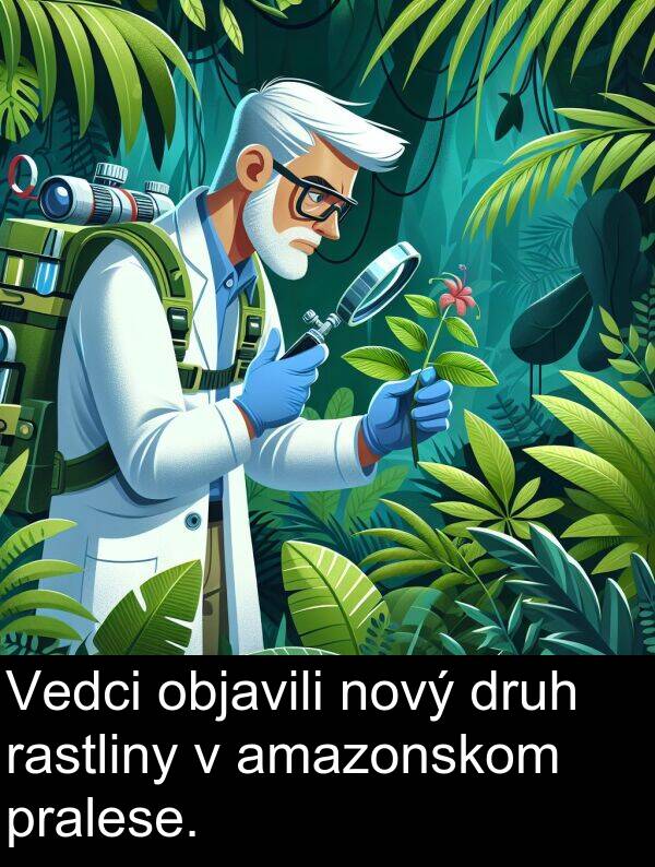 objavili: Vedci objavili nový druh rastliny v amazonskom pralese.