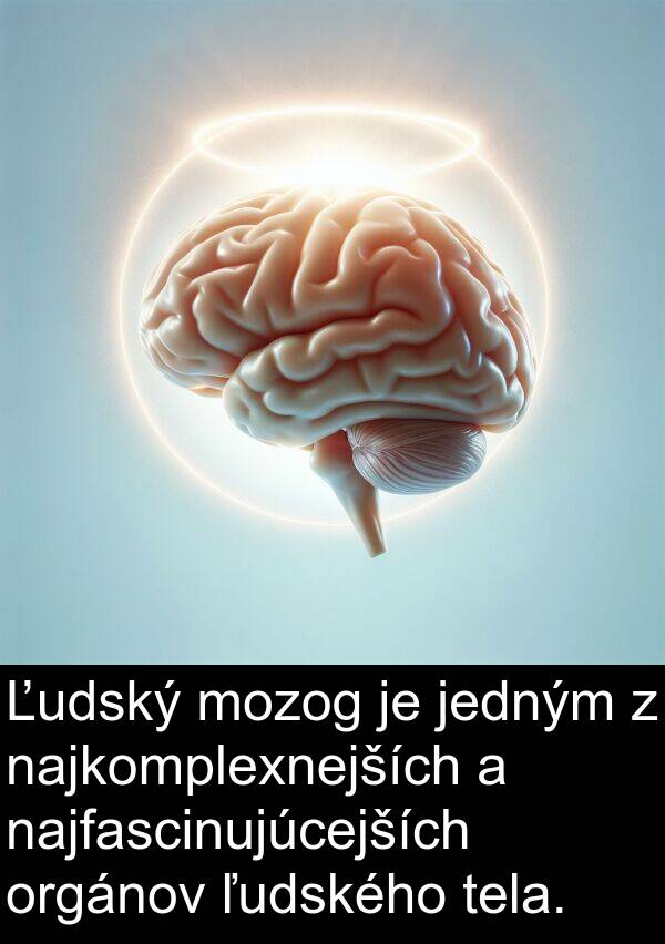 najkomplexnejších: Ľudský mozog je jedným z najkomplexnejších a najfascinujúcejších orgánov ľudského tela.