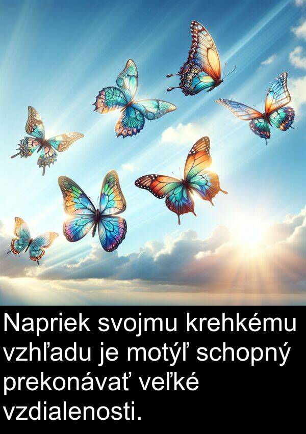 schopný: Napriek svojmu krehkému vzhľadu je motýľ schopný prekonávať veľké vzdialenosti.