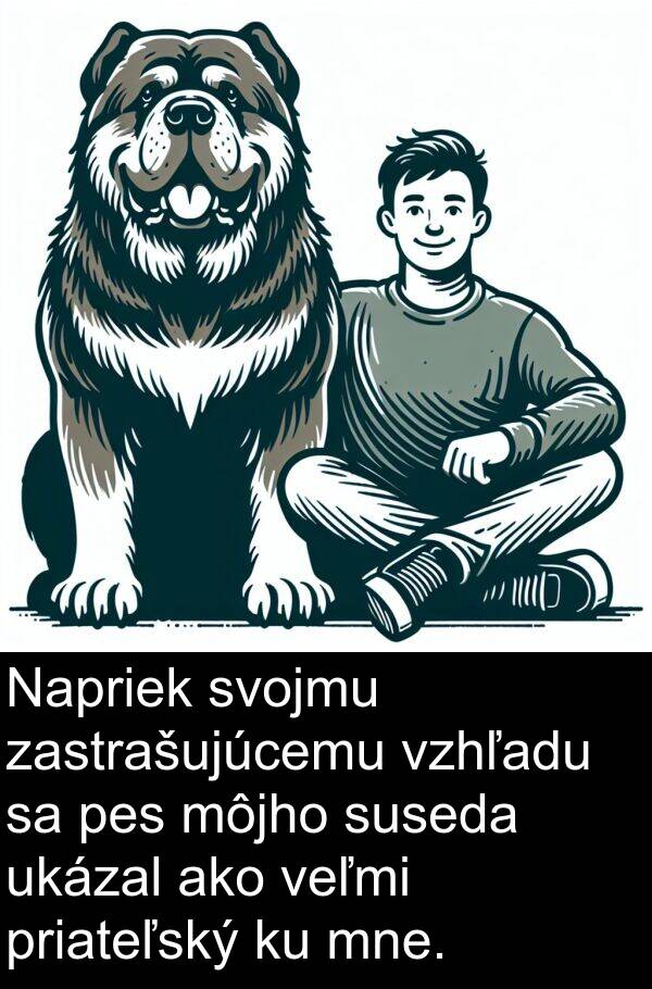 suseda: Napriek svojmu zastrašujúcemu vzhľadu sa pes môjho suseda ukázal ako veľmi priateľský ku mne.