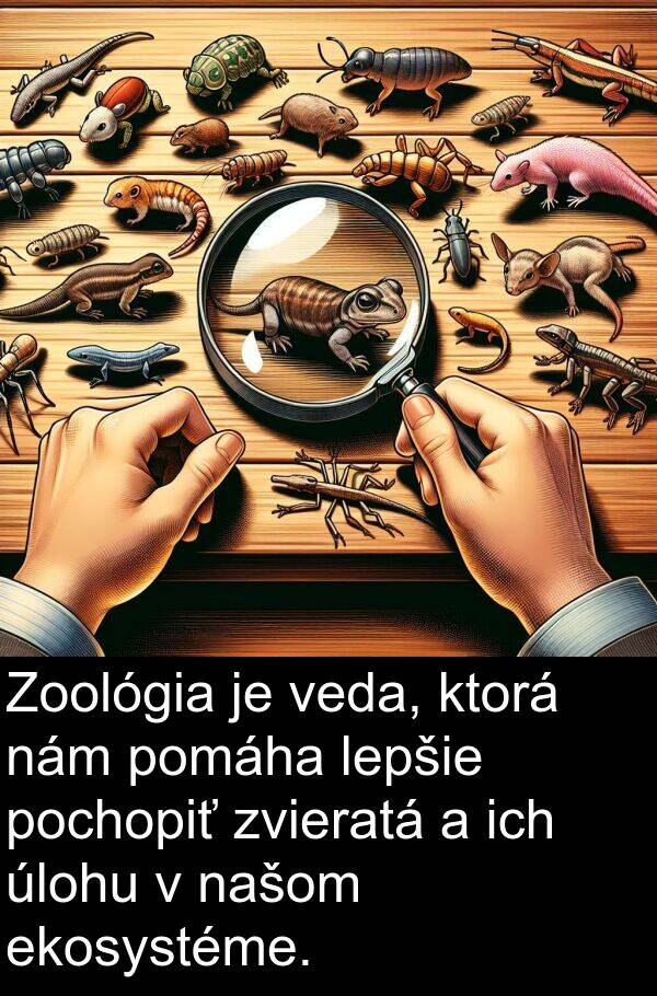 ekosystéme: Zoológia je veda, ktorá nám pomáha lepšie pochopiť zvieratá a ich úlohu v našom ekosystéme.