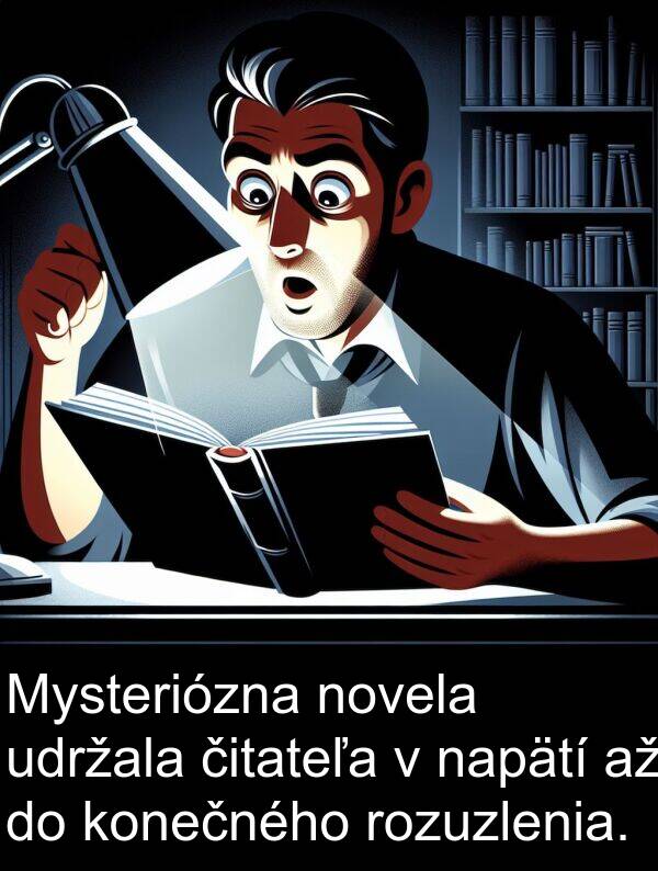 napätí: Mysteriózna novela udržala čitateľa v napätí až do konečného rozuzlenia.