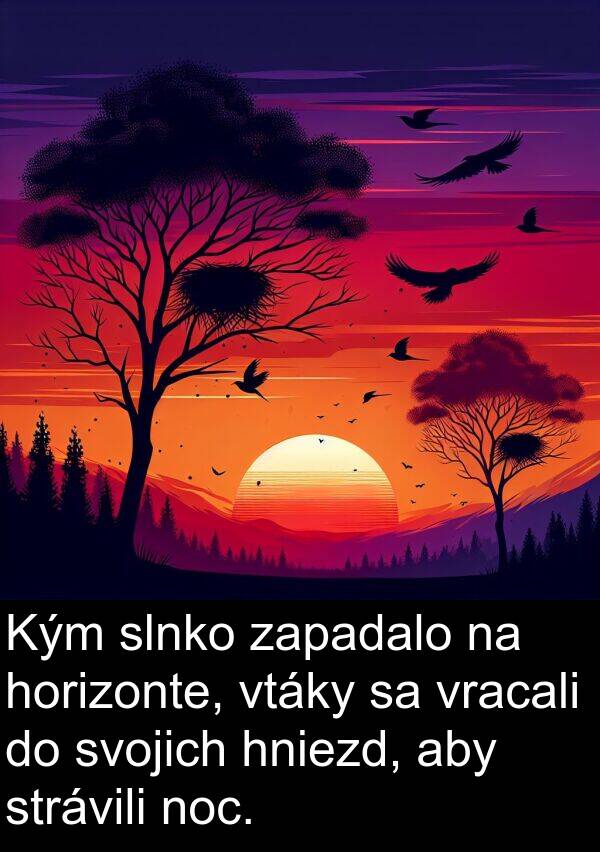 noc: Kým slnko zapadalo na horizonte, vtáky sa vracali do svojich hniezd, aby strávili noc.