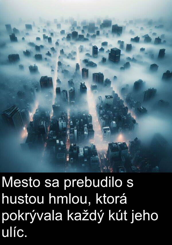kút: Mesto sa prebudilo s hustou hmlou, ktorá pokrývala každý kút jeho ulíc.