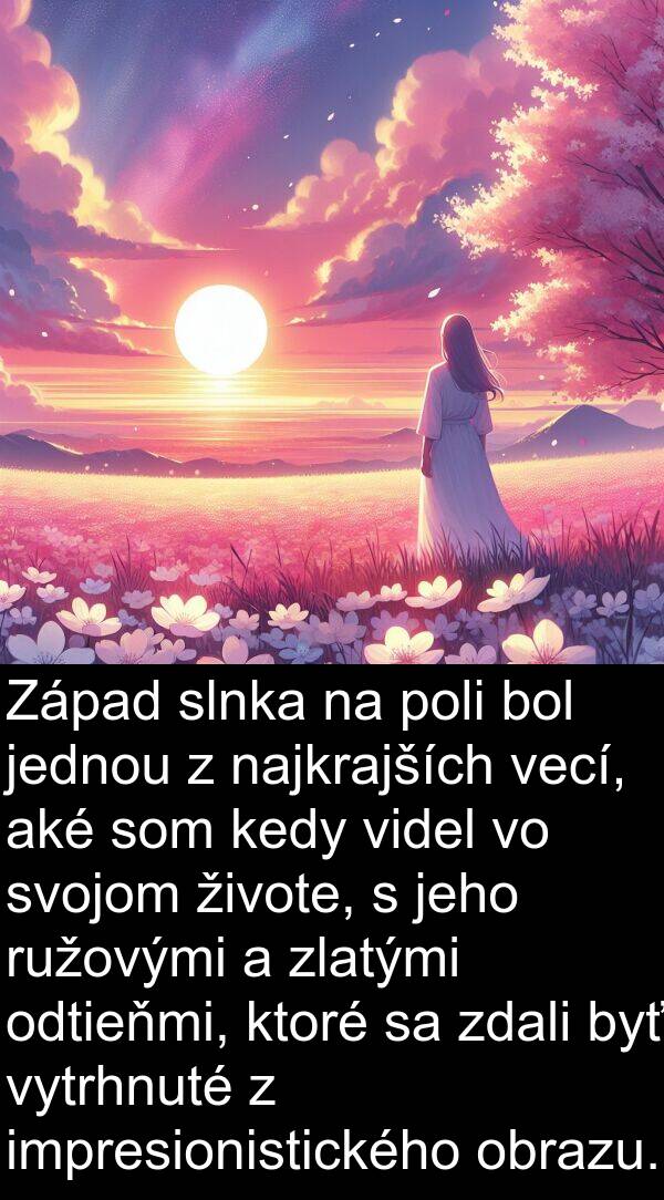 slnka: Západ slnka na poli bol jednou z najkrajších vecí, aké som kedy videl vo svojom živote, s jeho ružovými a zlatými odtieňmi, ktoré sa zdali byť vytrhnuté z impresionistického obrazu.