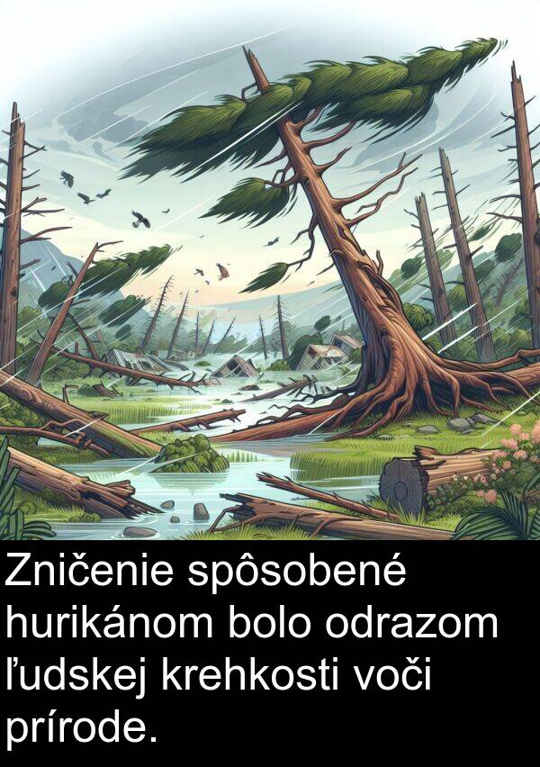 voči: Zničenie spôsobené hurikánom bolo odrazom ľudskej krehkosti voči prírode.