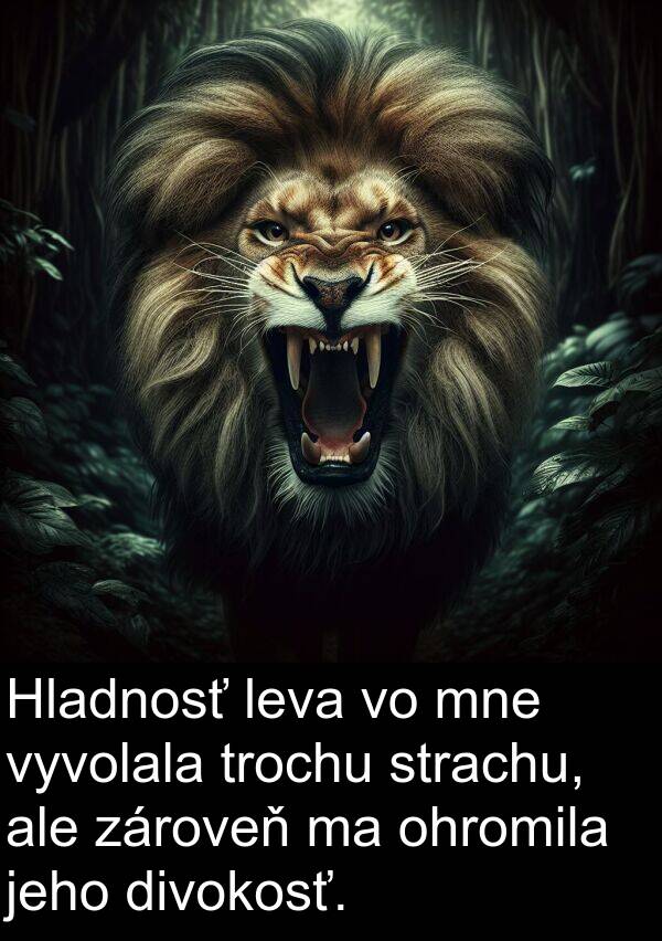 leva: Hladnosť leva vo mne vyvolala trochu strachu, ale zároveň ma ohromila jeho divokosť.