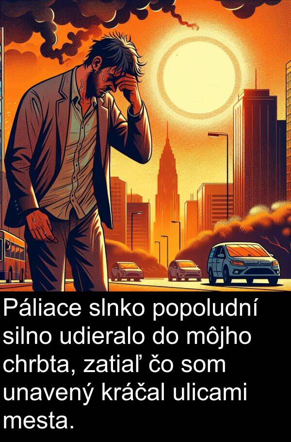 slnko: Páliace slnko popoludní silno udieralo do môjho chrbta, zatiaľ čo som unavený kráčal ulicami mesta.