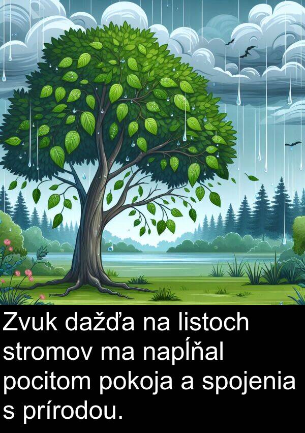 napĺňal: Zvuk dažďa na listoch stromov ma napĺňal pocitom pokoja a spojenia s prírodou.