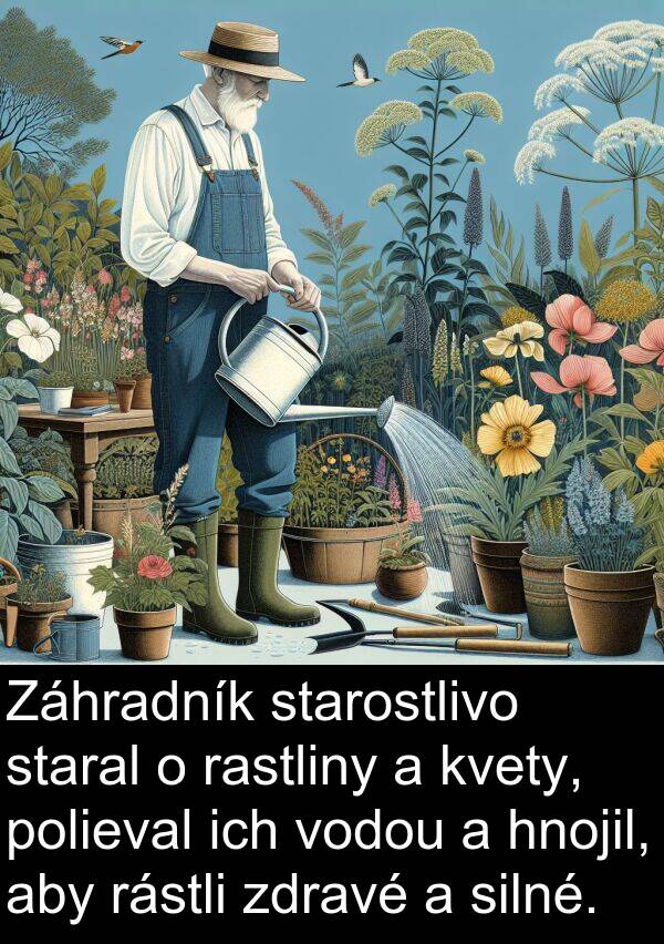 silné: Záhradník starostlivo staral o rastliny a kvety, polieval ich vodou a hnojil, aby rástli zdravé a silné.
