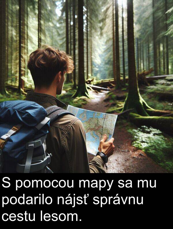 lesom: S pomocou mapy sa mu podarilo nájsť správnu cestu lesom.