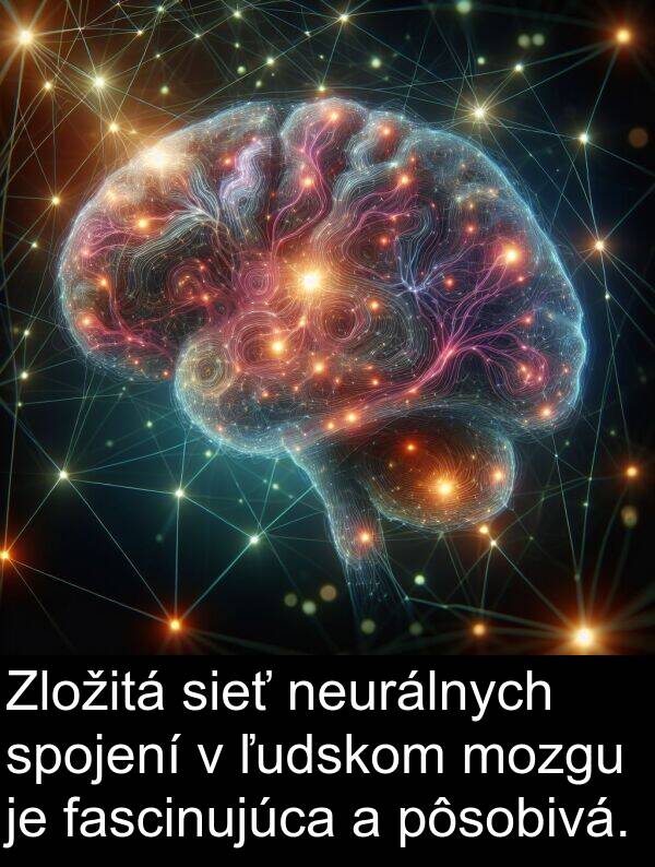 fascinujúca: Zložitá sieť neurálnych spojení v ľudskom mozgu je fascinujúca a pôsobivá.