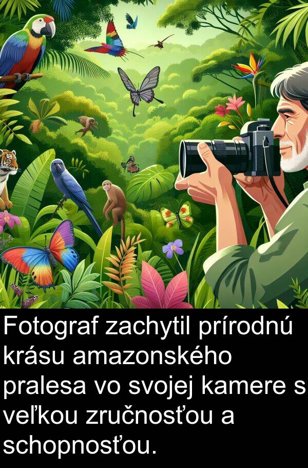 schopnosťou: Fotograf zachytil prírodnú krásu amazonského pralesa vo svojej kamere s veľkou zručnosťou a schopnosťou.