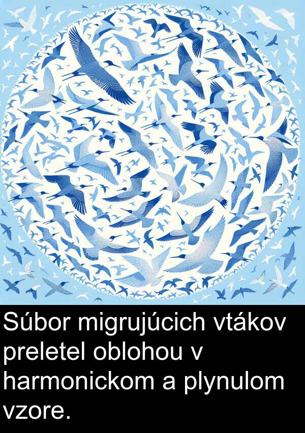 oblohou: Súbor migrujúcich vtákov preletel oblohou v harmonickom a plynulom vzore.
