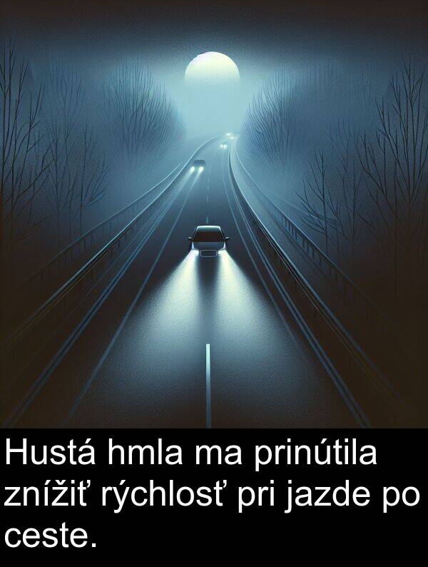 jazde: Hustá hmla ma prinútila znížiť rýchlosť pri jazde po ceste.