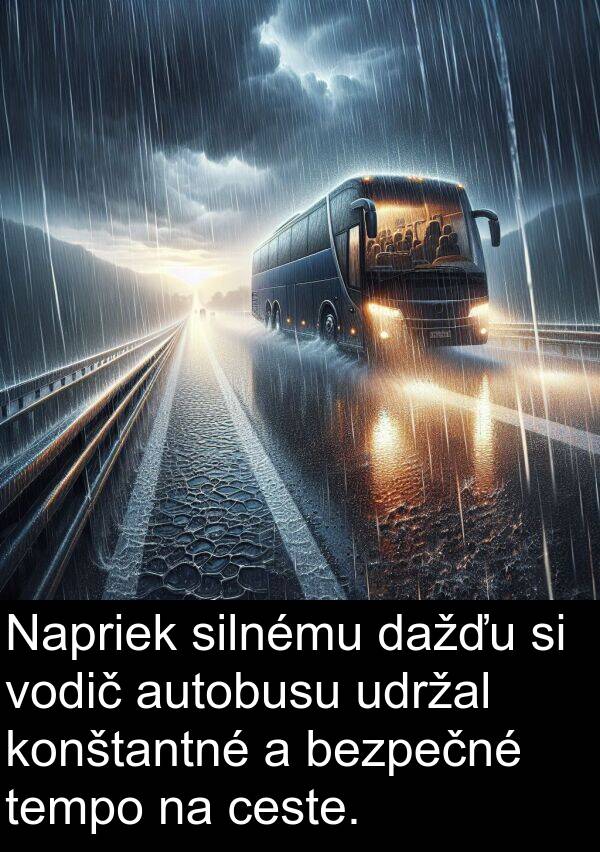 ceste: Napriek silnému dažďu si vodič autobusu udržal konštantné a bezpečné tempo na ceste.