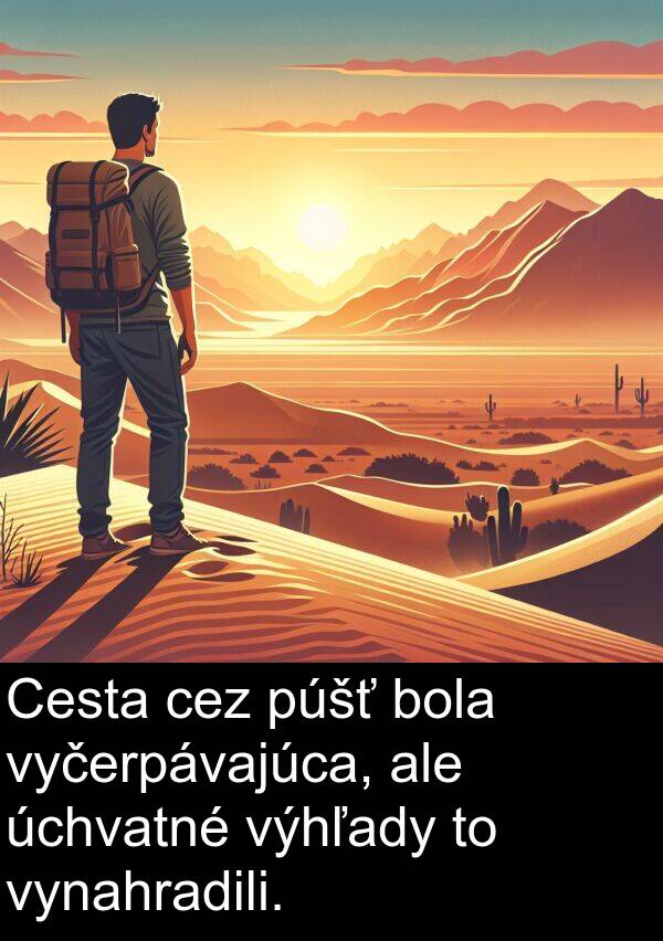 púšť: Cesta cez púšť bola vyčerpávajúca, ale úchvatné výhľady to vynahradili.