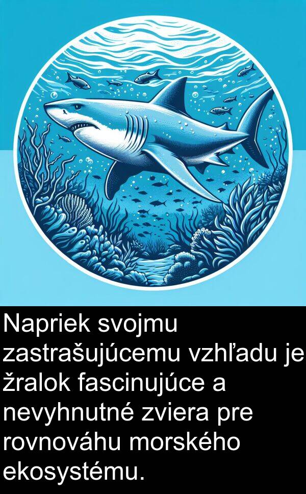fascinujúce: Napriek svojmu zastrašujúcemu vzhľadu je žralok fascinujúce a nevyhnutné zviera pre rovnováhu morského ekosystému.