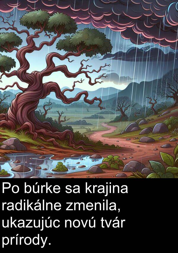 radikálne: Po búrke sa krajina radikálne zmenila, ukazujúc novú tvár prírody.