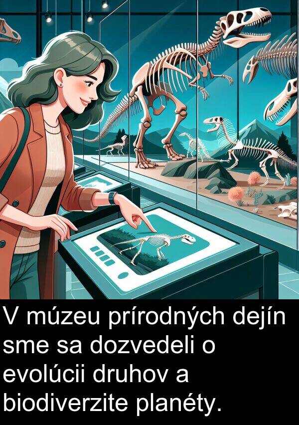 biodiverzite: V múzeu prírodných dejín sme sa dozvedeli o evolúcii druhov a biodiverzite planéty.