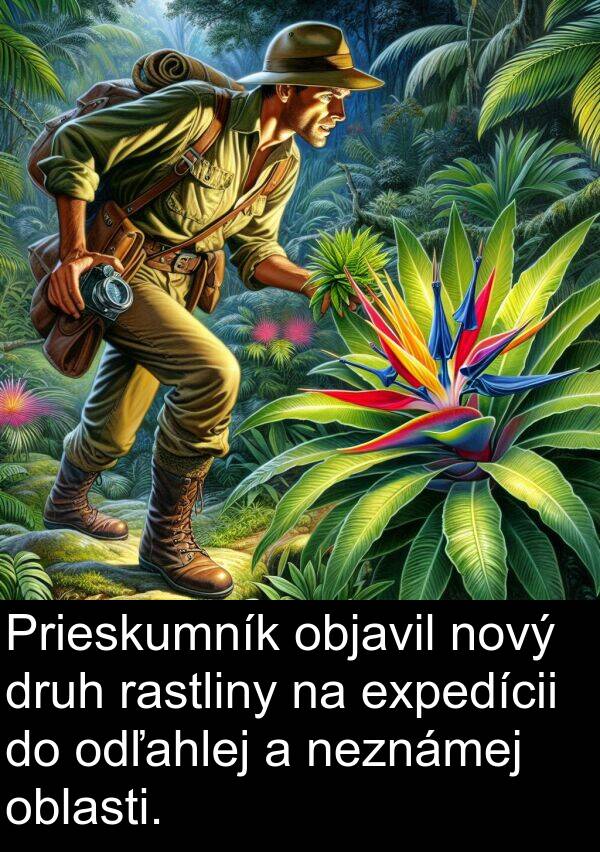 objavil: Prieskumník objavil nový druh rastliny na expedícii do odľahlej a neznámej oblasti.