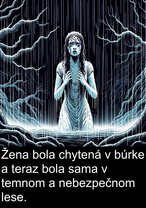 sama: Žena bola chytená v búrke a teraz bola sama v temnom a nebezpečnom lese.
