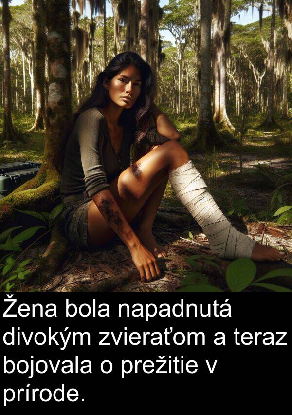 napadnutá: Žena bola napadnutá divokým zvieraťom a teraz bojovala o prežitie v prírode.