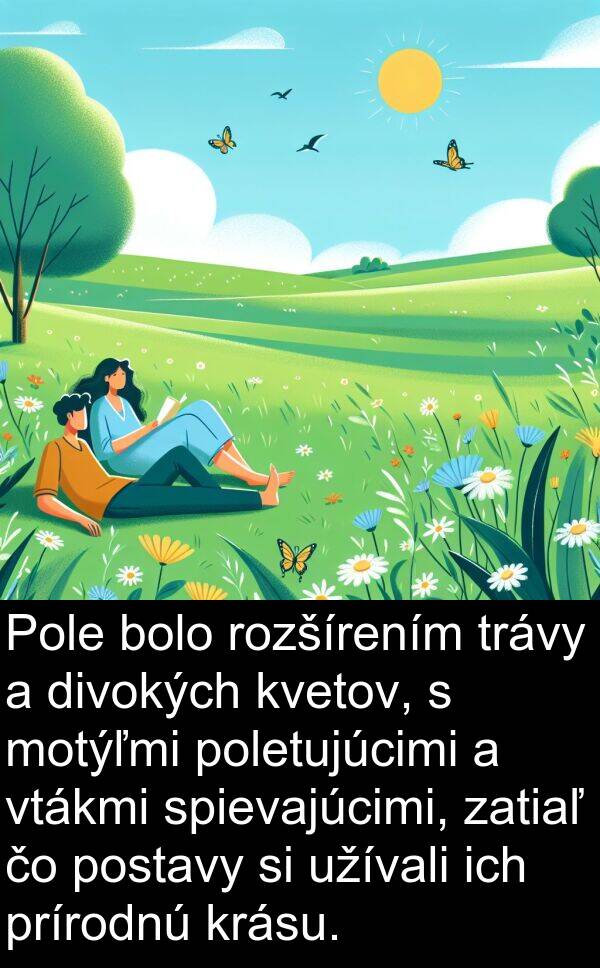 vtákmi: Pole bolo rozšírením trávy a divokých kvetov, s motýľmi poletujúcimi a vtákmi spievajúcimi, zatiaľ čo postavy si užívali ich prírodnú krásu.
